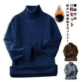 ハイネック カットソー 2枚セット メンズ 両面起毛 フリース 秋冬 春 長袖 暖かい 裏起毛 モックネック 重ね着 tシャツ ヒートテック 厚手 インナー あったか トップス 無地 アウトドア 送料無料