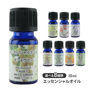 GbZVIC 10ml A} n^Cv VRIC A AJ EH[^[N[ fBt[U[ bNX lC̍ IC bNX^C yz/GbZV