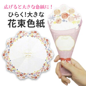 F ԑ bZ[WV[ 20 RpNgTCY t 20l \  bZ[W 񂹏 36cm bZ[WJ[h4cm Ђ炭 ԑF yzyIFDz/Ђ炭ԑF