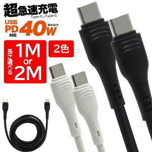 Type-C P[u 1m 2m [d } ő40W }[d OJo[ ^CvV[ [dȂQ[ł  yz/Type-CtoType-CP[u