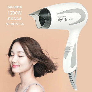 hC[ wAhC[  RpNg nCp[ ╗@\ 3iK  GD-HD10 ܂肽 1200W nCp[ ^[{ N[ u[ zCgy60z/hC[HD10