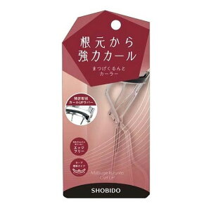 J[[ ACCN r[[ ܂тɂ₳   J[ ϔ J[Abvo[ S  ݂₷ ւSt オ グ `OX֔yz/܂