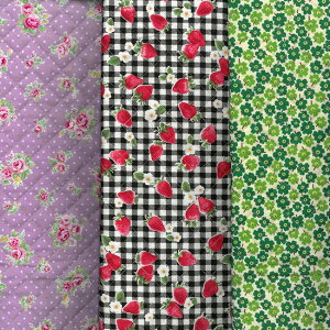 LeBOn z  w  Jo Lgn | ٖD V[YJo В bXobO t[ t@V[ `[t  yz/LeBO