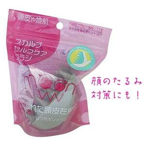 PAuV XJv }bT[W VR uV bNX tbV PA wAPA tFCXPA   ނ  ߂ w s i  O[ }bT[WuV 