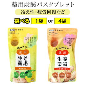 入浴剤 タブレットタイプ 6回分 薬用 炭酸 生姜 冷え性 疲労回復 肩こり 2種から選べる 柚子の香り ホット生姜の香り 1個50g 生姜エキス 唐辛子エキス ホット成分 バスタブレット 【▲】/【MC】薬治湯生姜薬湯