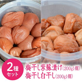 【送料無料】梅干し 400g やわらかい食感のすっぱい梅干し 伏見梅園の完熟梅【梅干し 紫蘇漬け200g×1個 白干し200g×1個】合計400g 梅 梅干し しそ漬け 福井県 若狭町 福井梅