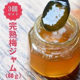 【送料無料】梅ジャム 伏見梅園の完熟梅【完熟梅ジャム 70g×3個セット】計210g 福井県若狭町 福井梅