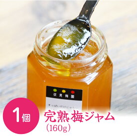 【送料無料】梅ジャム 伏見梅園の完熟梅【完熟梅ジャム 160g】福井県若狭町 福井梅