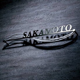 美濃クラフト 表札 おしゃれ ステンレス 外構 エクステリア 切文字 美濃クラフト 書体フリータイプ