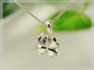 lt̃N[o[a΃y_g / zCgS[h [AWXg]