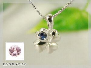 lt̃N[o[a΃y_g / zCgS[h [Tt@CA܂̓sNTt@CA]