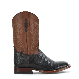 gj[} TONY LAMA TL5251 EGX^u[c Y Ou[c JC}x[ LjI uE 11"Men's CANYON BROWN
