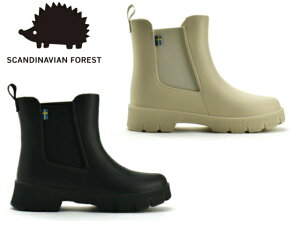 XJWirAtHXg Cu[c SCANDINAVIAN FOREST sf629 fB[X  C V[gu[c y