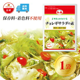 【ファーチェフーズ直販】 ファーチェ チョレギサラダの素（野菜1kg分）1袋 保存料・着色料不使用 白菜 キムチ 韓国 自家製 カクテキ オイキムチ 漬け物 鍋 チゲ 【ファーチェフーズ】【送料無料】