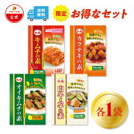 【5＆10日P10倍】【お買い物マラソン限定】【1000円ポッキリ】 キムチの素 カクテキの素 オイキムチの素 …