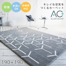 楽天市場 ルンバ カーペットの通販