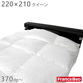 羽毛布団 JOORYU AS-HOネックランド90 クイーンサイズ 220×210cm ポーランド産ホワイトグースダウン90％ フランスベッド
