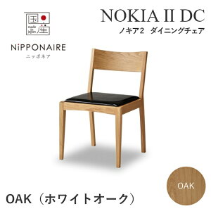 _CjO`FA ؐ  _ k jb|lA NOKIA2 mLA2 DC OAK zCgI[N ։Ƌ rOe[u H ֎q ؐ`FA EH[ibg zCgI[N r[` ubN