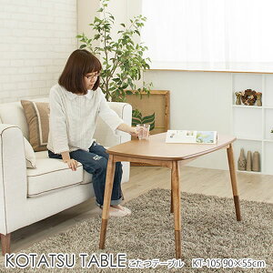 2WAY  e[u ` KT-105 90×55cm VR R^c cup1