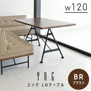 _CjOe[u C 120cm O LDe[u uE Kg rOe[u e[u EH[ibgC ؐe[u X`[ ubN  _  k  rO 