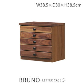 レターケース ウォールナット Bruno ブルーノ レターケース5 5段 キャビネット 収納ボックス 小物入れ 卓上 ブラウン 家具の大丸