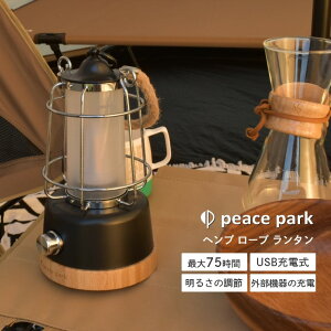USB[d wv[v^ s[Xp[N PP0300BK 邳 y v Ɩ \ Lv ނ d h pd AEghA ׃sO [Cg  ubN 