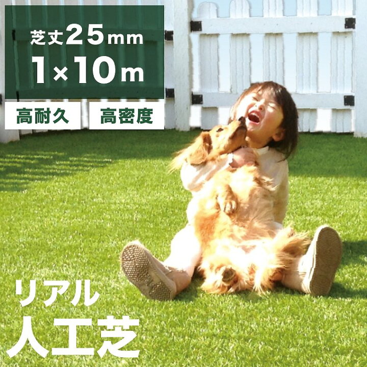 楽天市場】人工芝 ロール 1m×10m 芝丈25mm 芝生マット リアル人工芝 