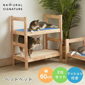 ネコ 猫 ペット ベッド キャットハウス ペットベッド 猫用ベッド かわいい シンプル 木製 おしゃれ 北欧 天然木 2段 クッション付き 幅60cm 2台セット 猫用品 ペット用品 キャトハス CAT HUS ナチュラルシグネチャー cup4