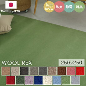 ラグ シンプル 約3.5畳 無地 多色展開 タフテッドラグ カーペット コンシェルジュ WOOL REX ウールレックス 250×250cm スミノエ カーペット 消臭 防炎 静電気防止 防虫 防ダニ 低ホルムアルデ cup5