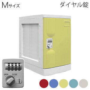 M�T�C�Y���b�J�[ �_�C������ �v���{�b�N�X RD BL YE GR IV