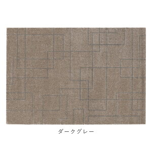 O 􉽕 3  VvȊ􉽊wfUC_ȃEBgDO |[ 200×250cm v[x O J[ybg O~ イ rO Q xbhTCh _CjO k