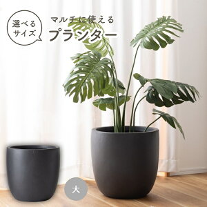 v^[  Aؔ Jo[  P Ϗܗp IׂTCY zCg ϗtA O   Vv ubN i` O[ 킢   x[W }bg fފ