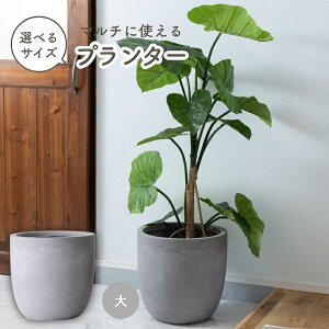 v^[  Aؔ Jo[  P Ϗܗp IׂTCY zCg ϗtA O   Vv ubN i` O[ 킢   x[W }bg fފ