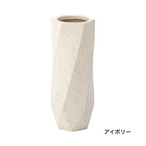  X  P Vv fUC 炩ȐFƂȂ₩ȃVGbgP 40cm a11cm CLY-11GY/CLY-11IV J ֎[  GgX RpNg