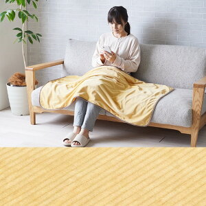 Ђ| uPbg n[tPbg n[tTCY ѕz tl n Vv WjAPbg WjAѕz qǂpѕz 70×120cm O[ sN CG[ 􂦂 @Ő