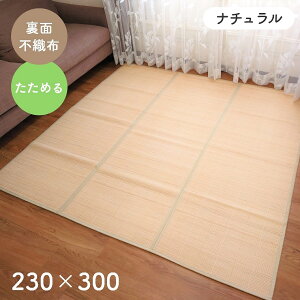 O O}bg |O J[ybg  R ̂|~ GNV[K 230×300cm 6 ` O |O |J[ybg ߂ ʕsDz h~ ہER Vz  rO 