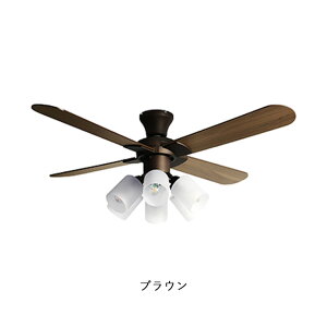 V[Ot@Cg  V[Ot@6 Modern JE-CF015 JAVALO ELF a Rt VƖ LEDΉ IV JtF Vbv X rO _CjO Ɩ