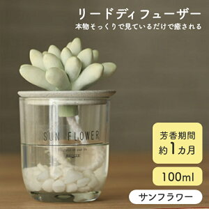 A} fBt[U[ [hfBt[U[ ymercyu 100ml MRU-91ztOX A}fBt[U[ [tOX 1 KX A A u₩ Â t[eB[ RpNg 