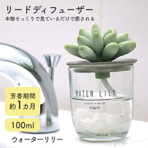 アロマ ディフューザー リードディフューザー 【mercyu 100ml MRU-91】フレグランス アロマディフューザー ルームフレグランス 1ヶ月 ガラス 多肉植物 植物 爽やか 甘い フルーティー コンパクト