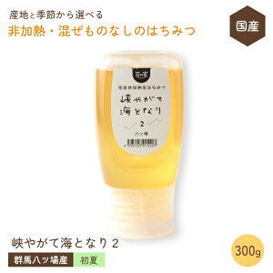 Y ݂͂ M ̂ȂyĂ̔ctWEg` 300gz QnY S ݂͂ SM Y Rsgp RHi ݂͂ I ݂͂ YVR݂͂ 