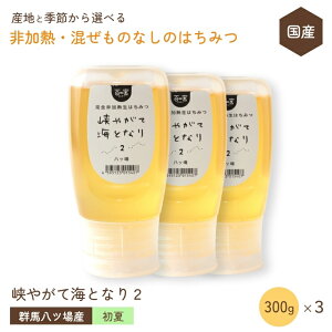 Y ݂͂ M ̂ȂyĂ̔btWEg` 300g×3Zbgz QnY S ݂͂ SM Y Rsgp RHi ݂͂ I ݂͂ YVR