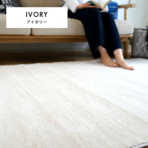 O  ~` n Vv {[ MJ[ 200×200cm~ X~mG O J[ybg Ȃ߂炩 zbgJ[ybgΉ h_j { ɂ h }V O Ag z[ cu