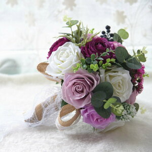 EGfBOu[P u[gjA  Eh^ u[P  EFfBOp AWg ԉ I K[ o {^ ԑ