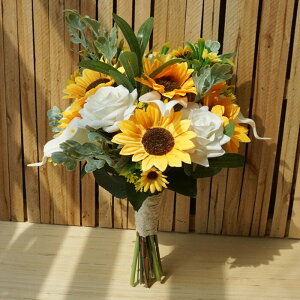  Ђ܂ o EFfBOu[P  u[P gXu[P   t[ Mtg AWg ԑ A[eBtBVt[ JWA  F  uC_u[