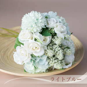 EGfBOu[P ku[gjA  Eh^u[P  EFfBOp AWg ԉ I XK[ o z _ o ~bNX O[ i` ԃu