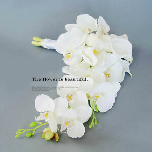 EGfBOu[P u[gjA Ӓ ̃m[uȔo ŐlC  LXP[hu[P A[eBtBVt[  EFfBOp AWg ԉ I