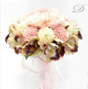 EGfBOu[P u[gjA _  Eh^u[P  EFfBOp AWg ԉ I XK[ o {^ A[eBtBVt[ {