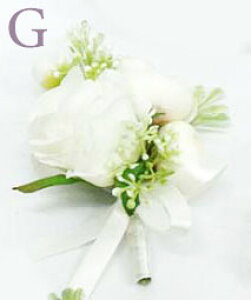 10F u[gjA PiƑIׂu[PwŔz u[gjA VY `[t w u[P  o u[P u[gjA Zbg  u[ sN IW zCg