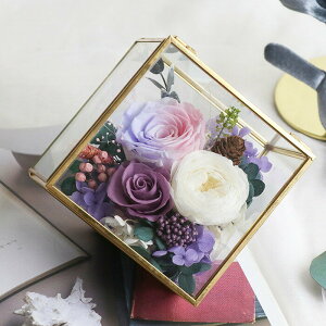 ӂXC[g5J[ ̓Mtg vU[uht[ v[g 킢 LOv[g a j ~ 蕨 Vzj JXj pI