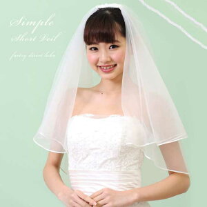 EFfBOx[ F[ Veil EGfBO Vv V[gx[  2i 2w tFCXAbv JWA L[g K[f zCg ItzCg  _炩ɂ